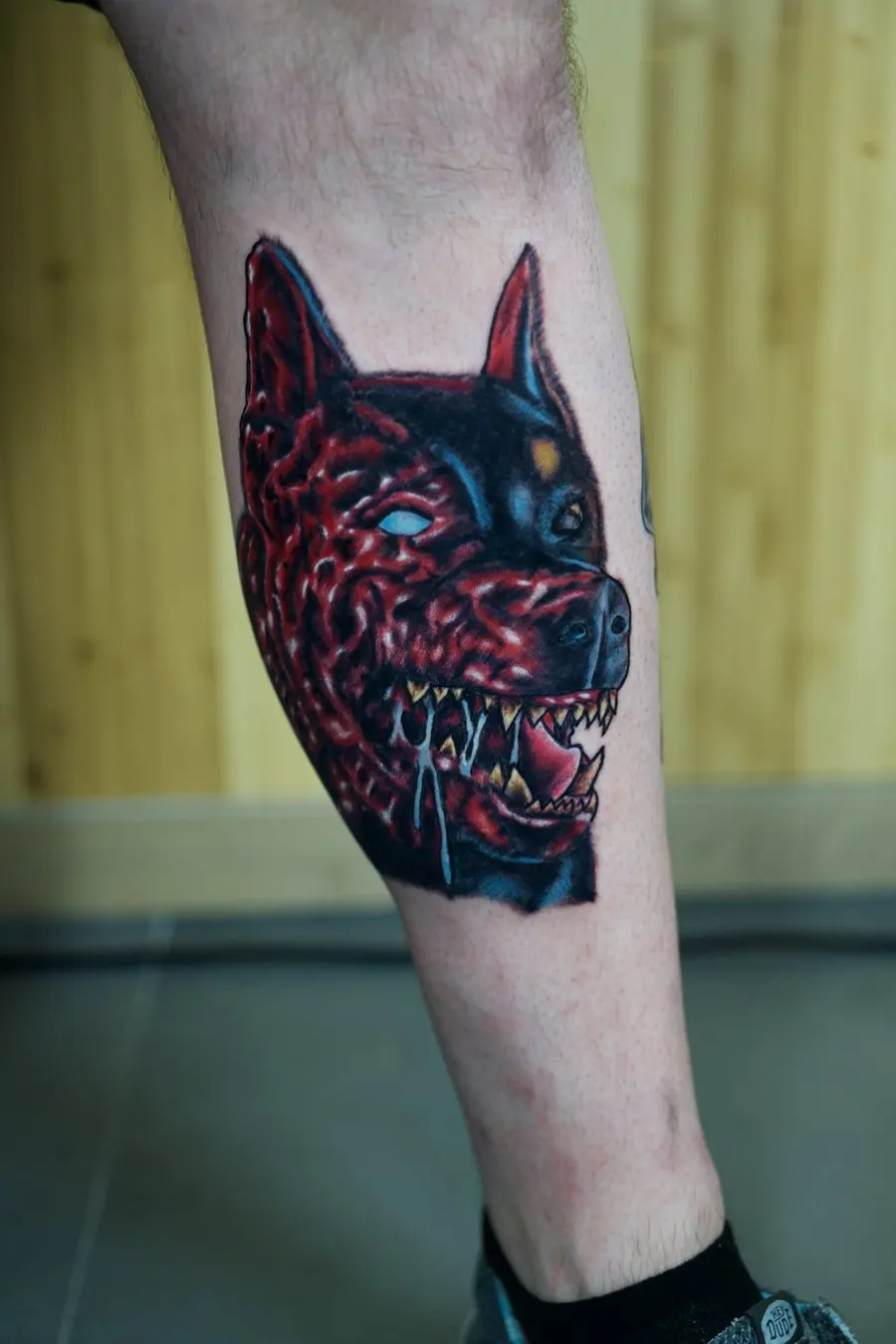 American traditional snarling dog tattoo by Clayton Parnell, West Palm Beach